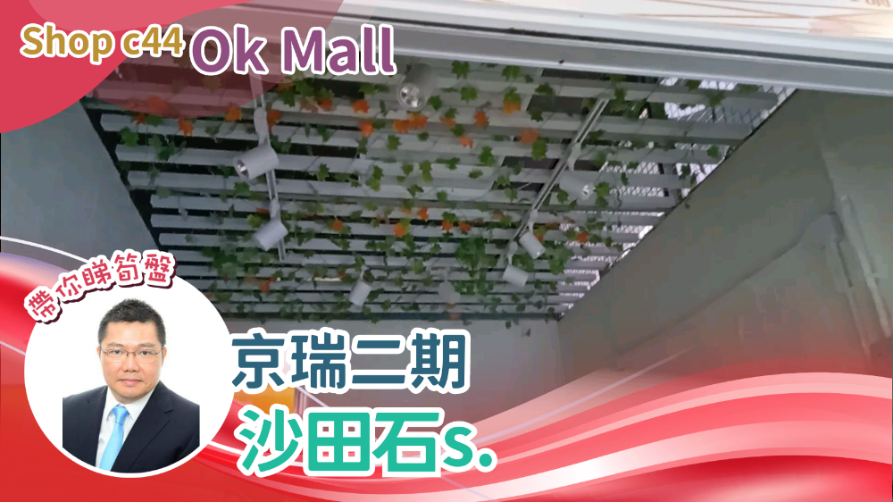 kings wing plaza 2｜retail property | centaline commercial
